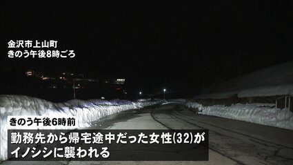 イノシシに襲われ 32歳の女性けが　尻や太ももかまれる